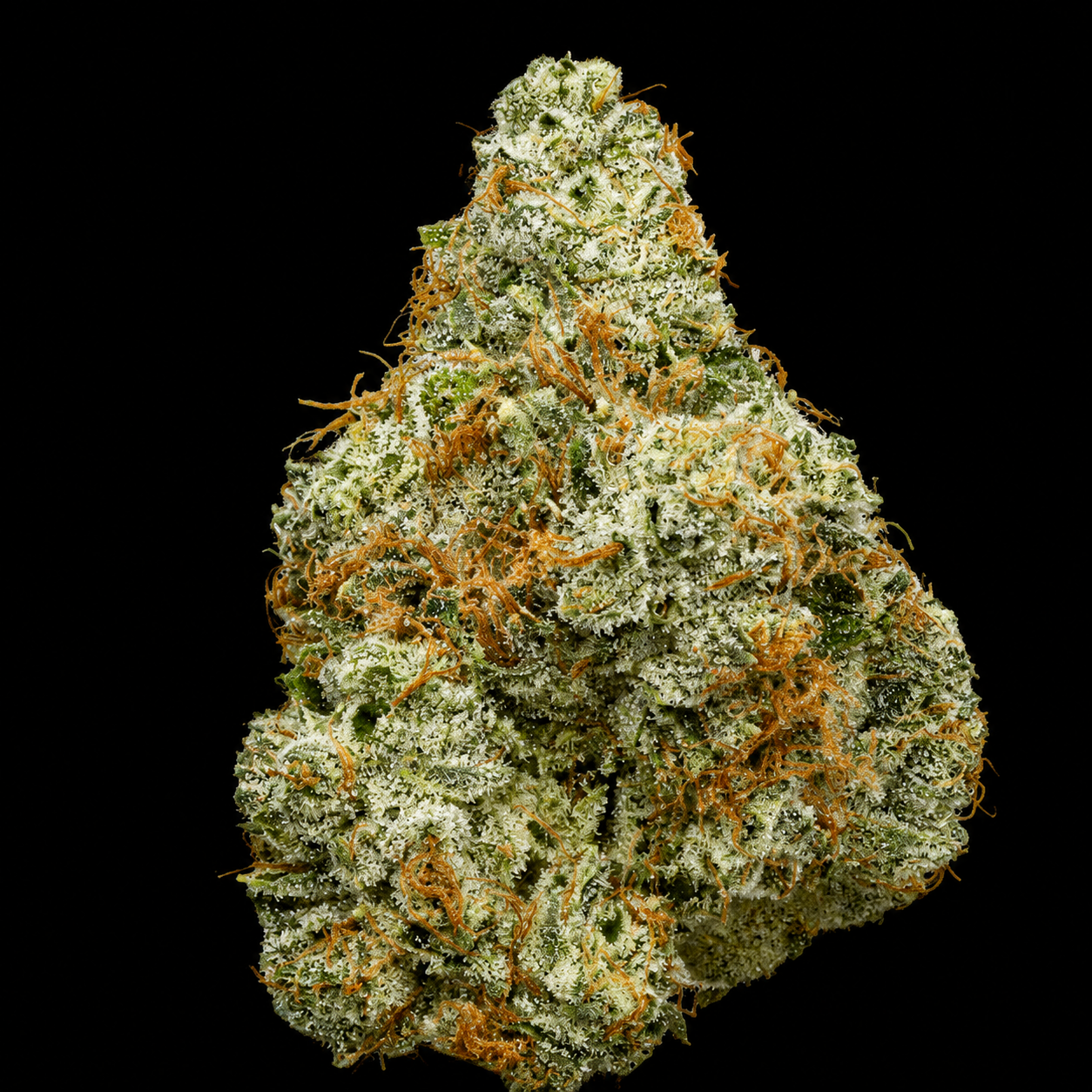 Ghost OG