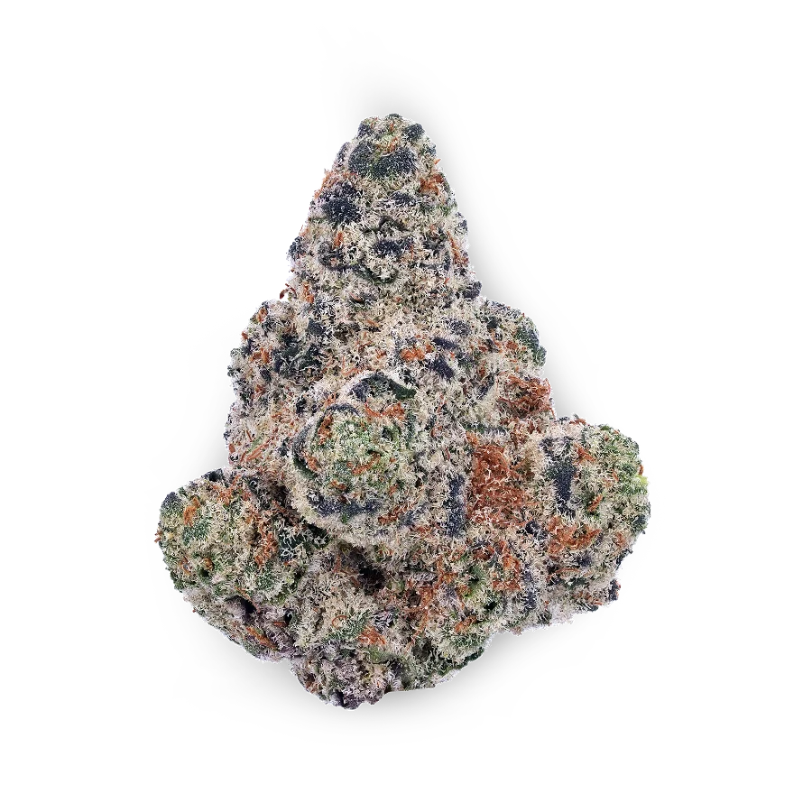 Northern Lights