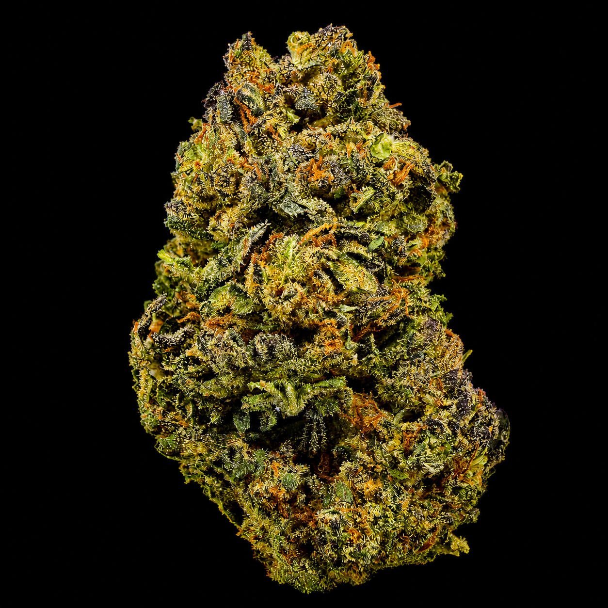 Lemon Cherry Gelato THCA Flower | Indoor AAA