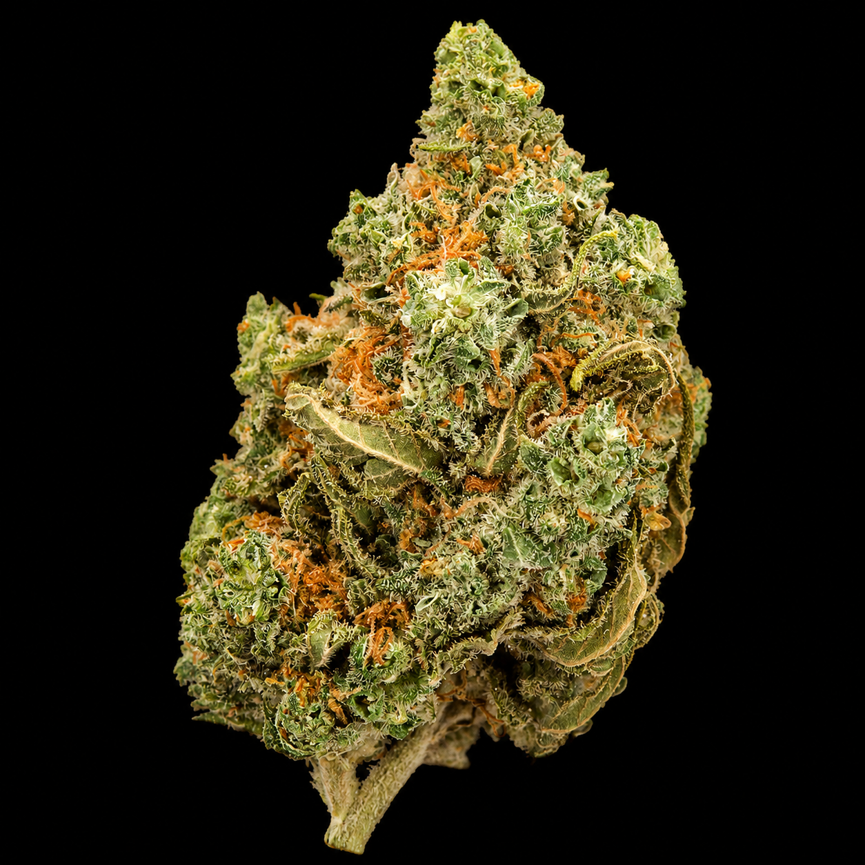 Amnesia Haze | Exotic Indoor AAA+