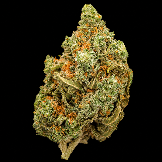 Amnesia Haze | Exotic Indoor AAA+