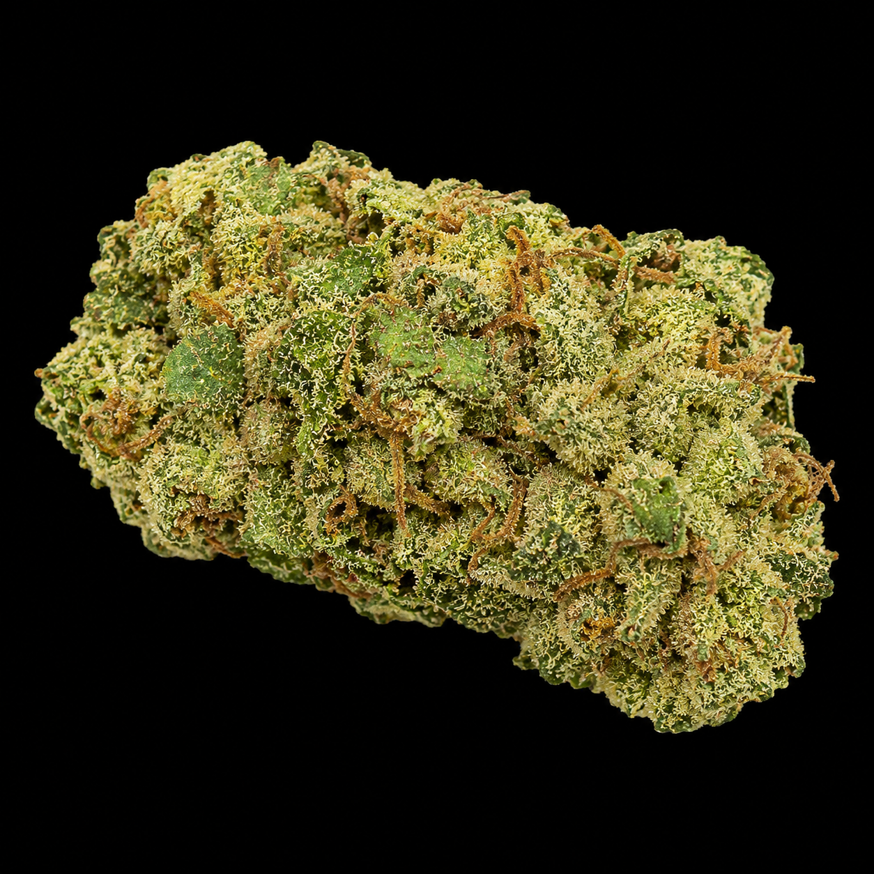 Amnesia Haze | Exotic Indoor AAA+