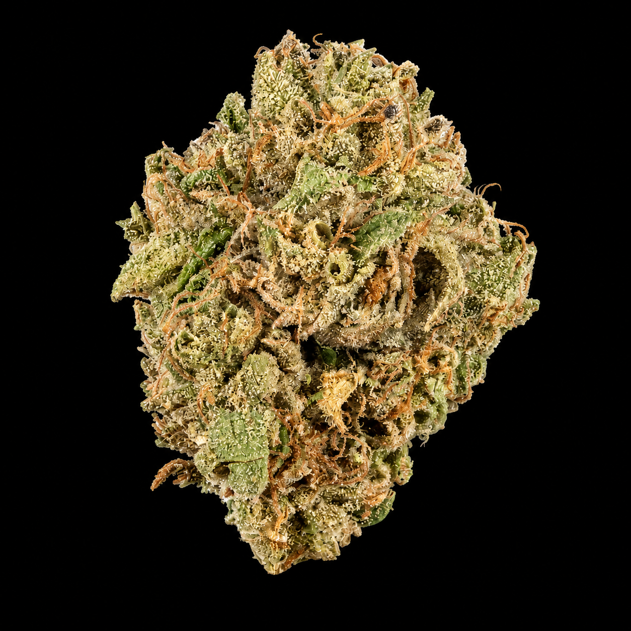 Gelato THCA Flower | Indoor AAA