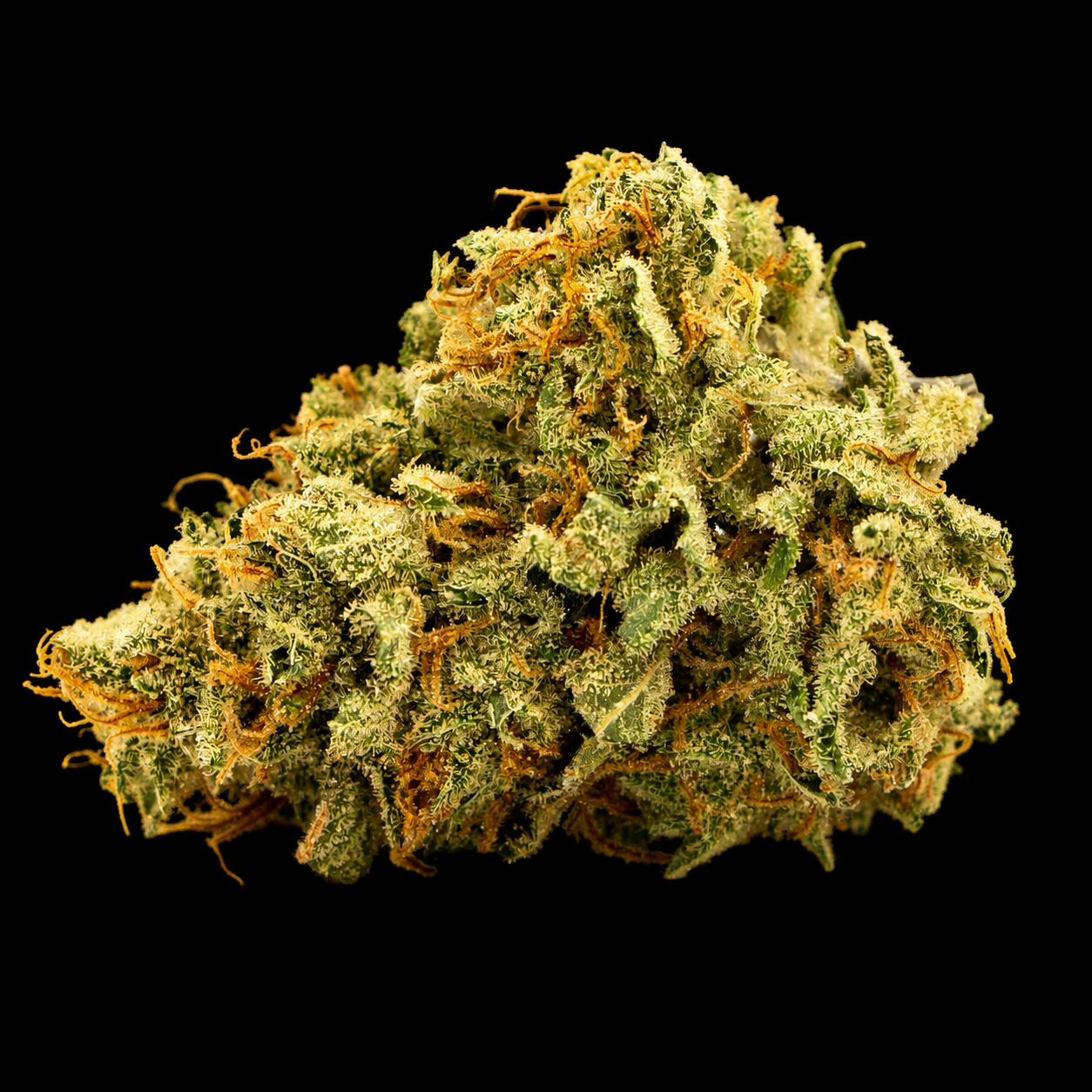 Ghost Train Haze