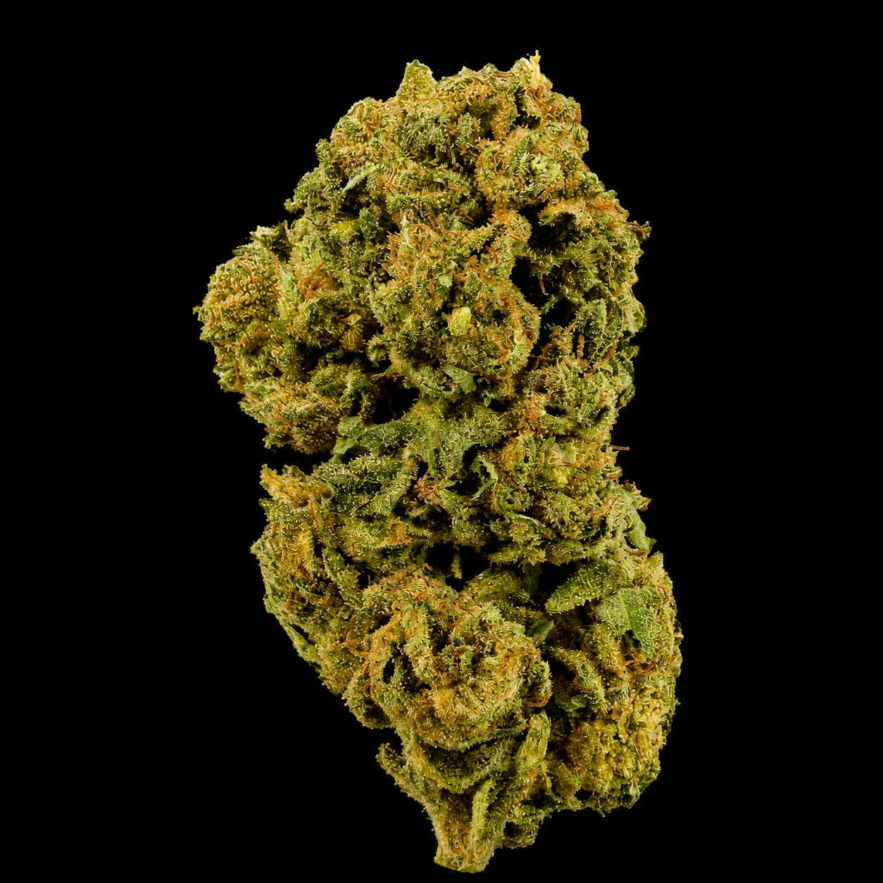 Jack Herer THCA Flower | Sativa