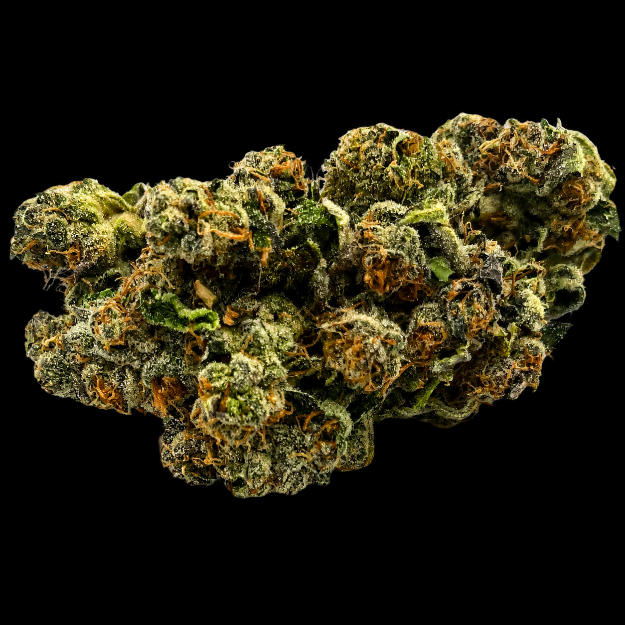 KC Kush