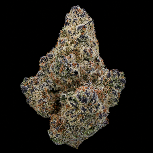 Northern Lights