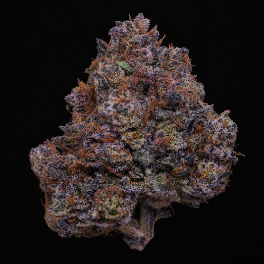 Purple Haze