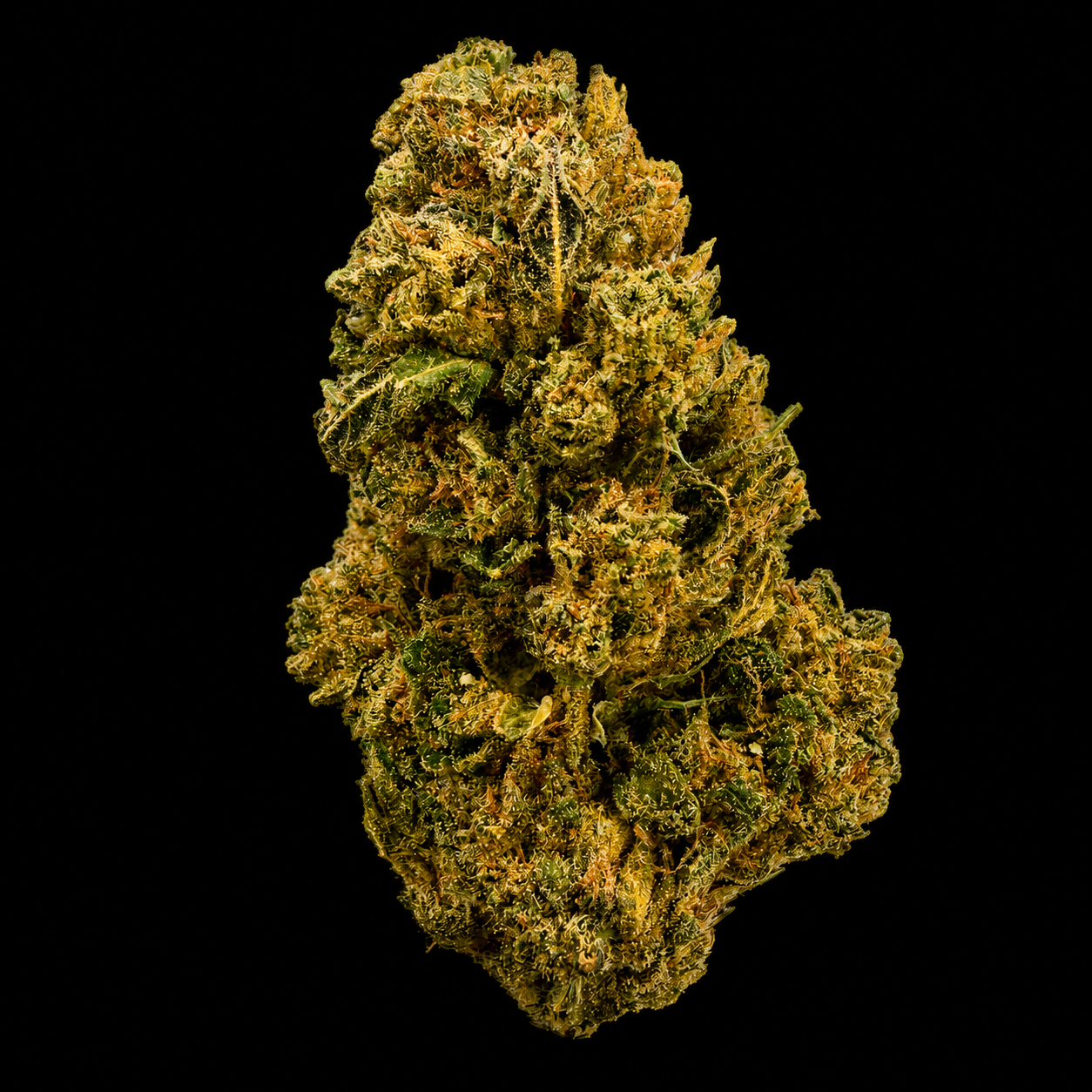 Rainbow Runtz THCA Flower | Indoor AAA