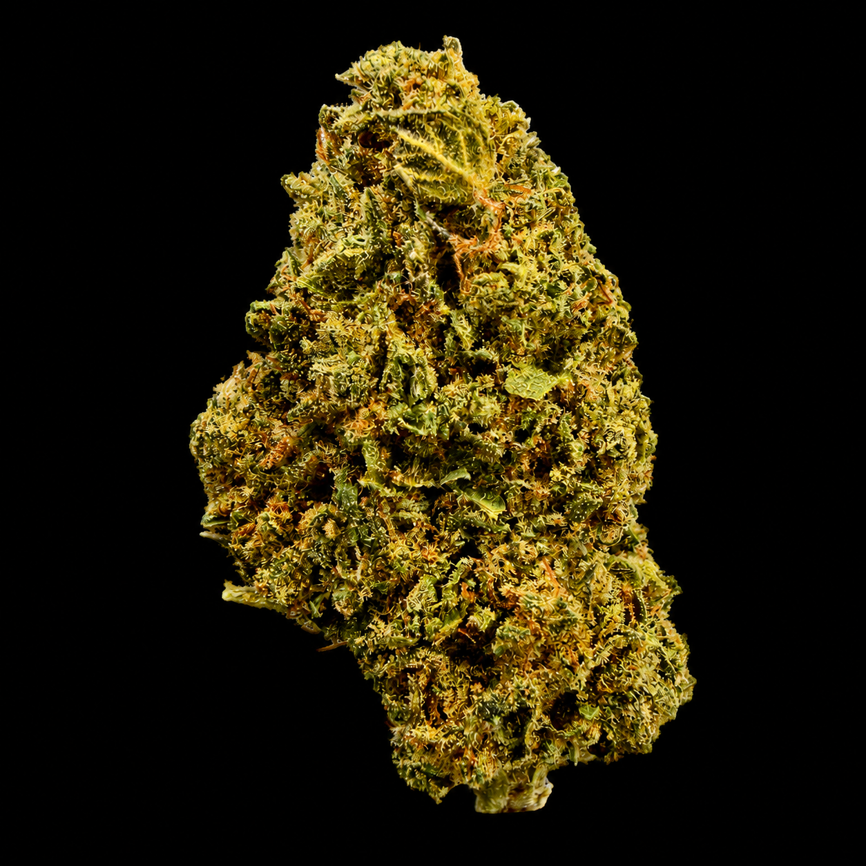 Rainbow Runtz THCA Flower | Indoor AAA