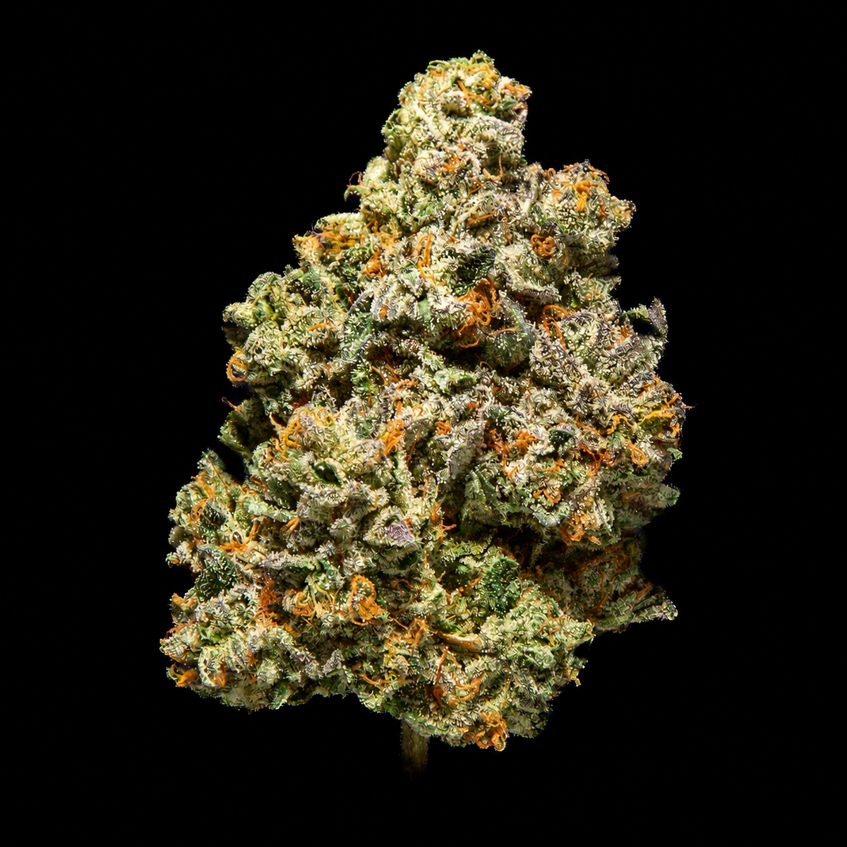 Tripple Cake THCA Flower