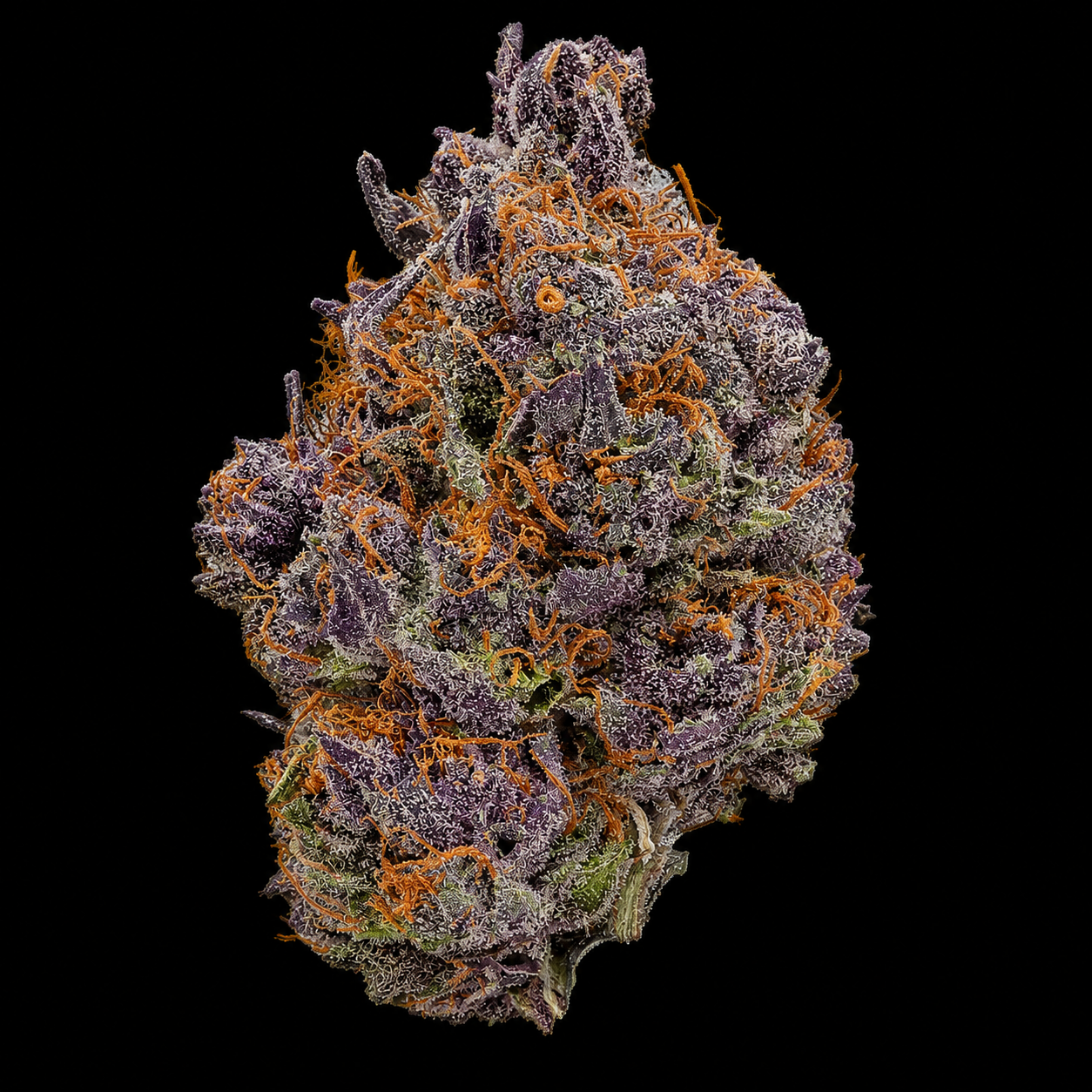 Tropicana Cookies