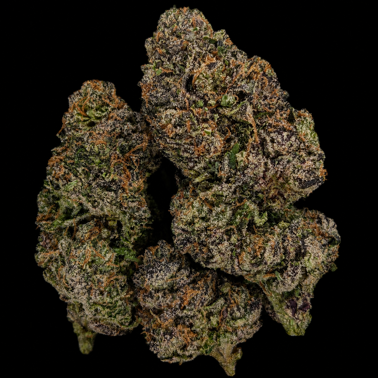 Tropicana Cookies