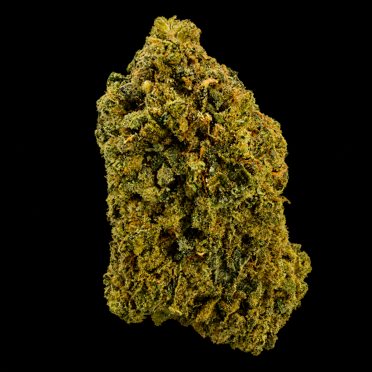 White Kush THCA Flower | Indoor AAA