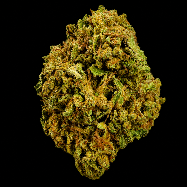 White Kush THCA Flower | Indoor AAA