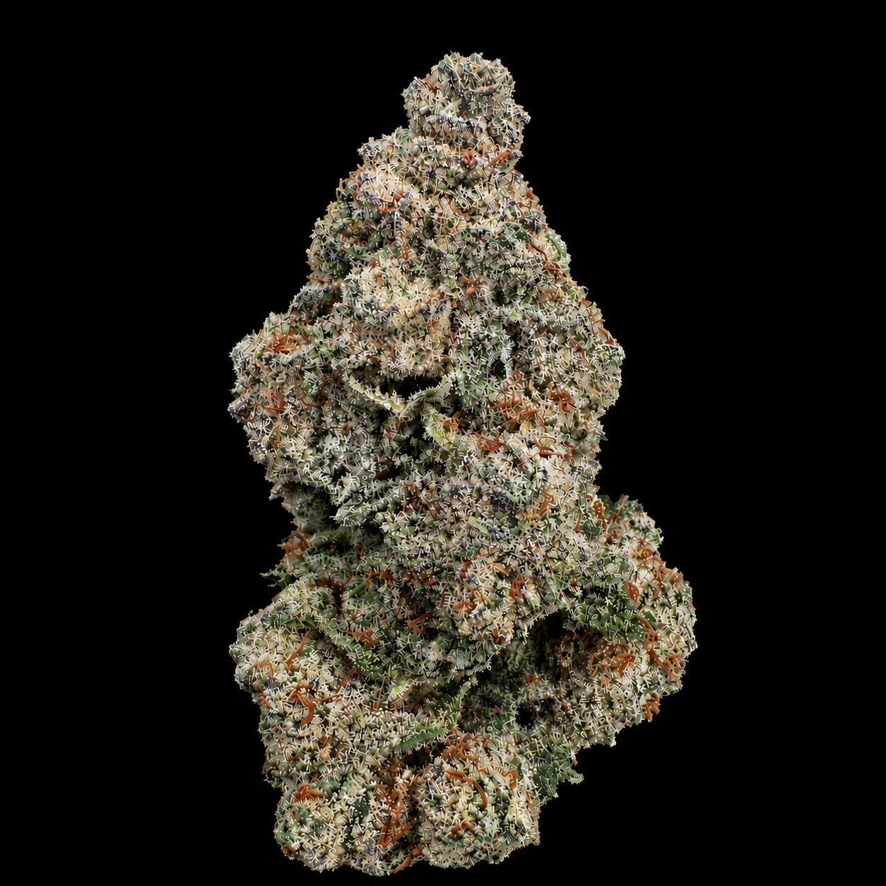 White Widow | Exotic Indoor AAA+