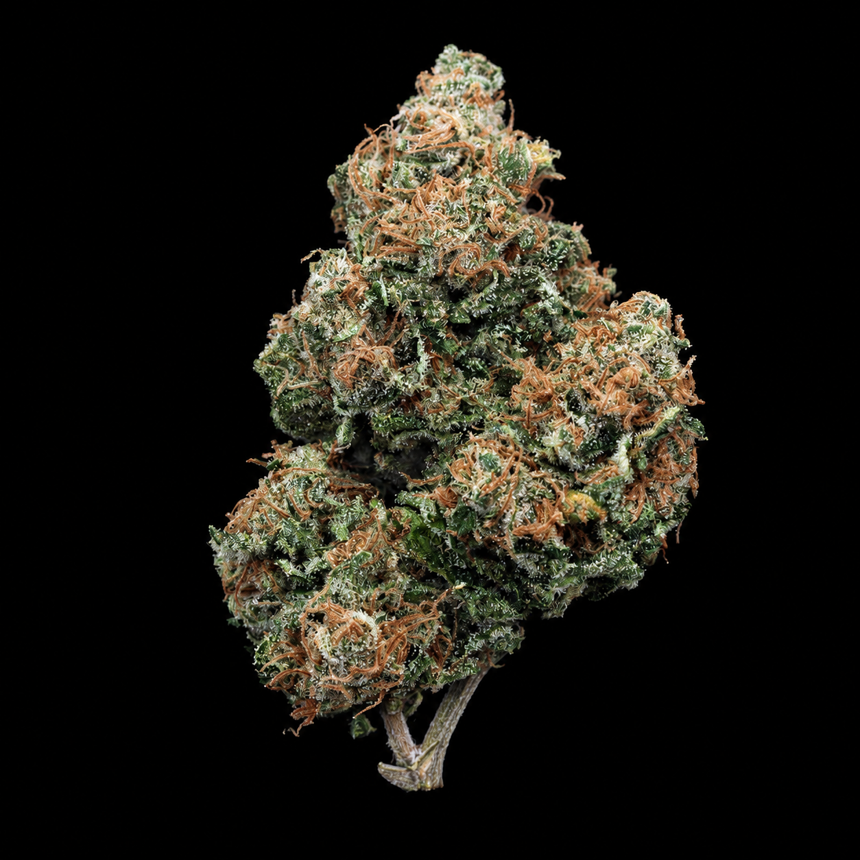 White Widow | Exotic Indoor AAA+