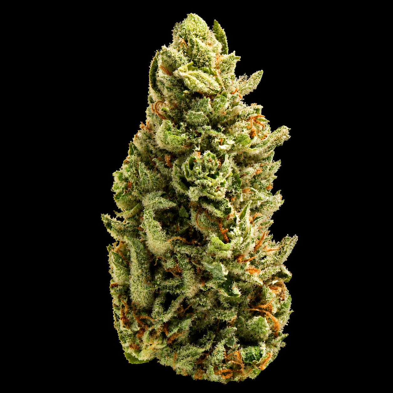 Pineapple Express THCA Flower | Hybrid
