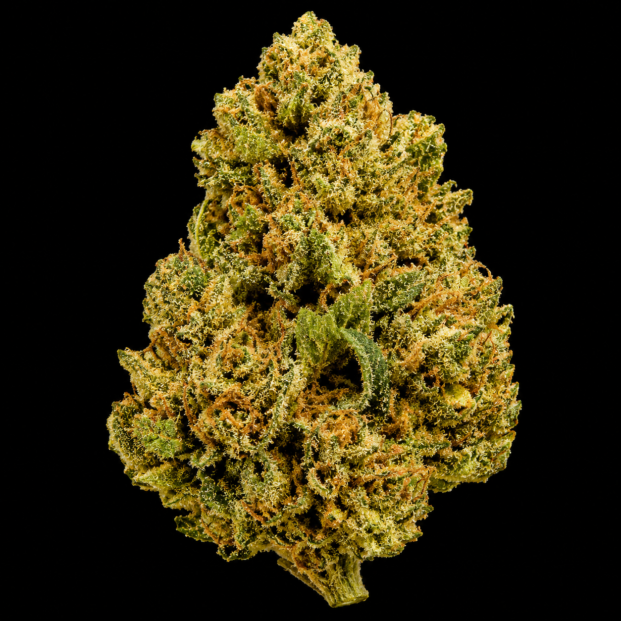 Super Lemon Haze THCA Flower | Sativa